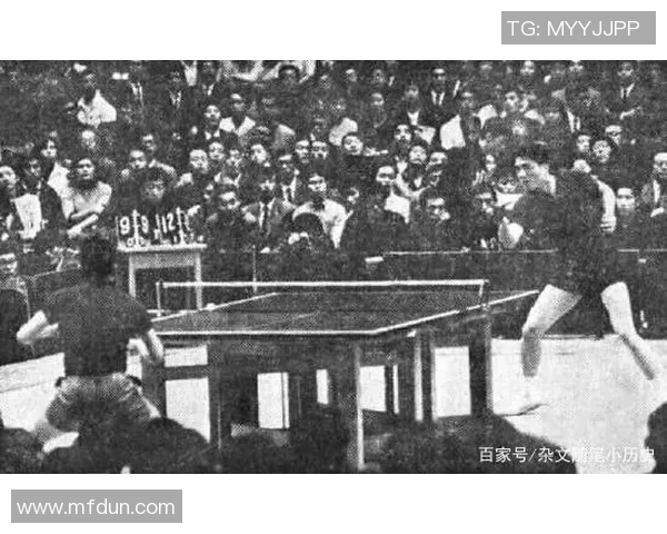 杭州乒乓球队战术解析与发展策略探讨聚焦乒乓球运动的未来之路