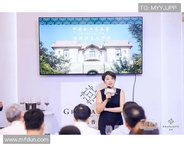 与陈芳对话：回顾她的篮球生涯与成长之路