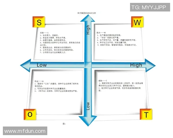 深入分析北京篮球队的运营策略与市场推广模式