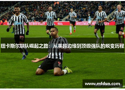 纽卡斯尔联队崛起之路：从英超边缘到顶级强队的蜕变历程
